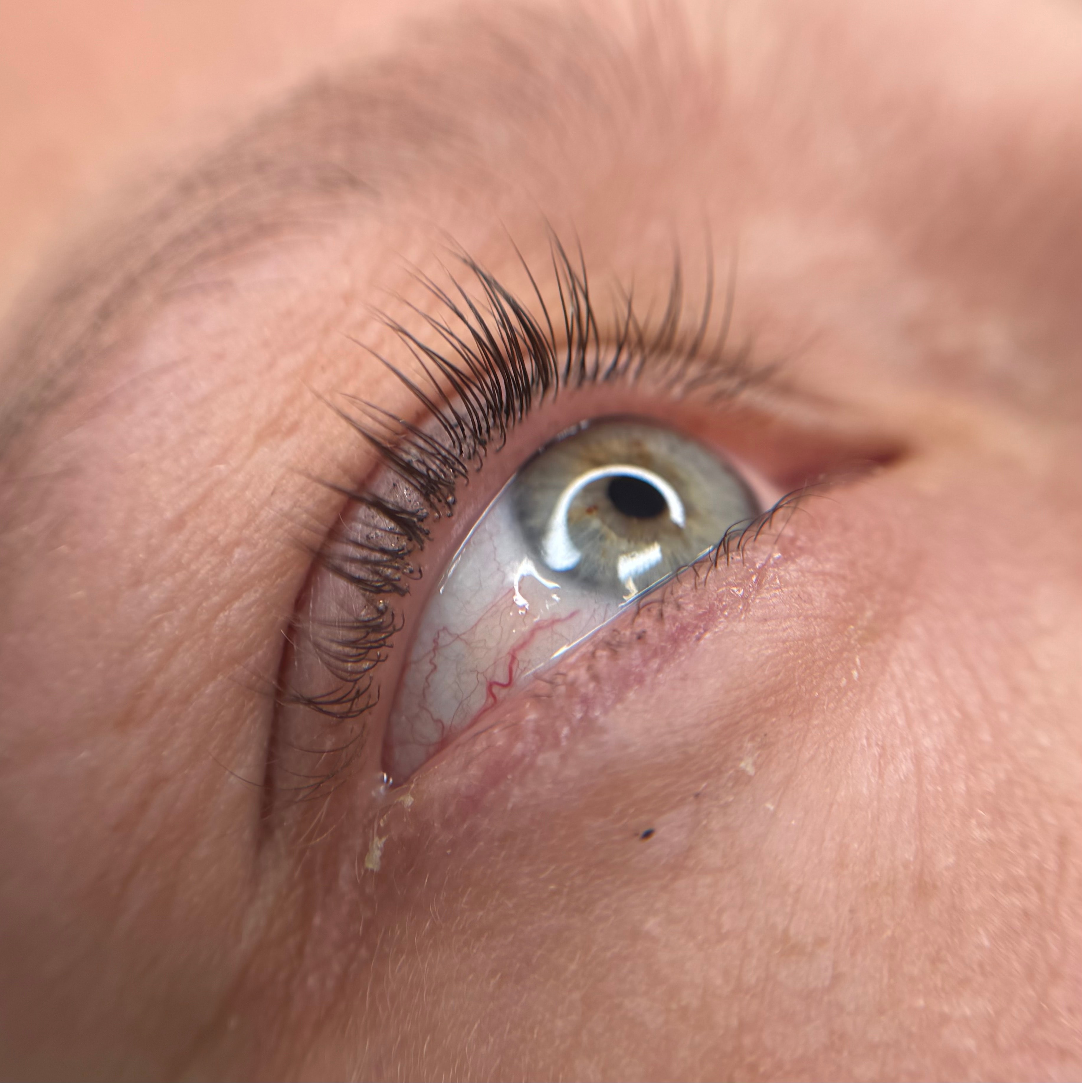 Rehaussement naturel des cils sur une femme aux yeux bleu-gris, résultat subtil et lumineux à Dijon.